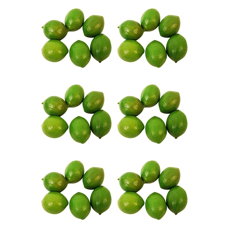 36 X Realistic Lifelike Artifi - đánh giá và giá X Nutrition