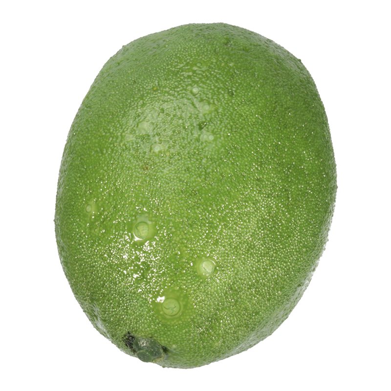 36 X Realistic Lifelike Artifi - đánh giá và giá X Nutrition